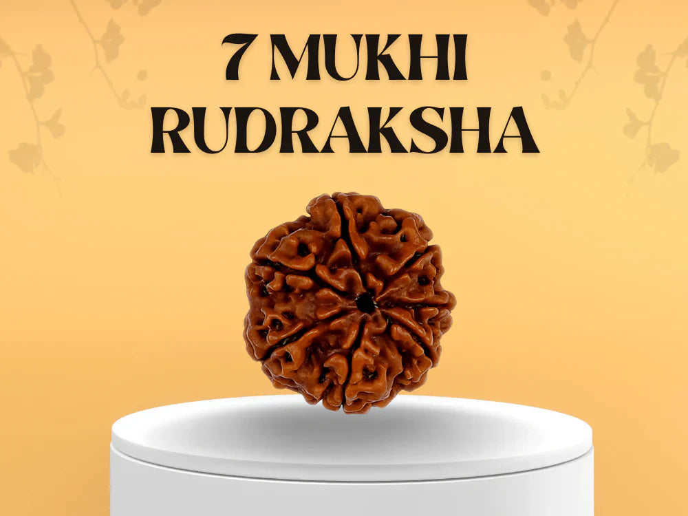 7 Mukhi Rudraksha: Which Planet It Represents & What Are Its Benefits?
