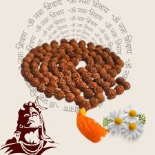 Top Selling Rudraksha