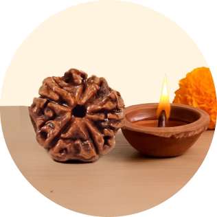 Rudraksha