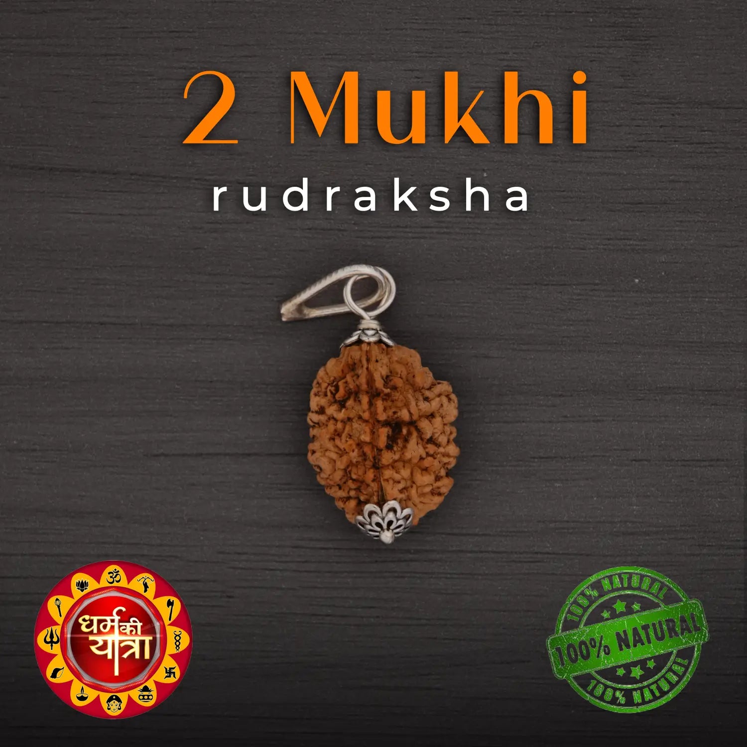 2 Mukhi Rudraksha (Nepali)- Certified, White Metal Pendant