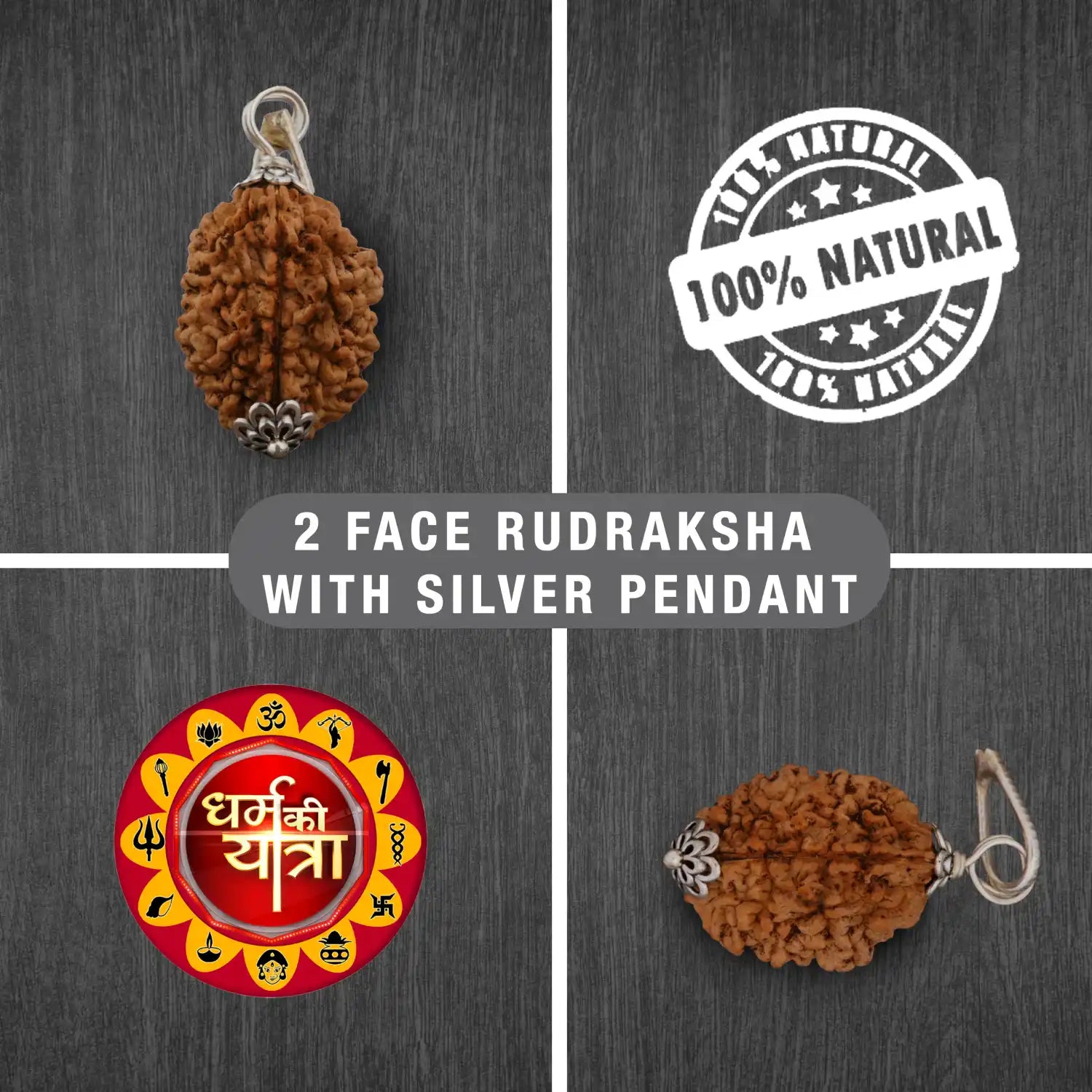 2 Mukhi Rudraksha (Nepali)- Certified, White Metal Pendant