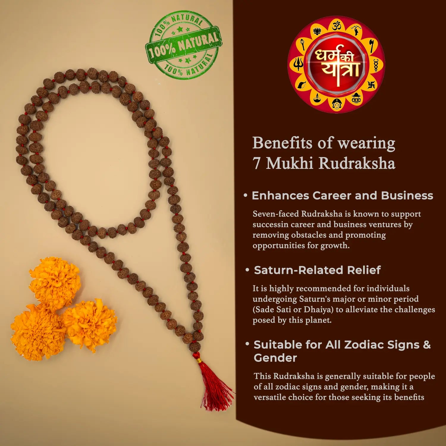 Original  7 Mukhi Rudraksha 108 +1 Beads Mala