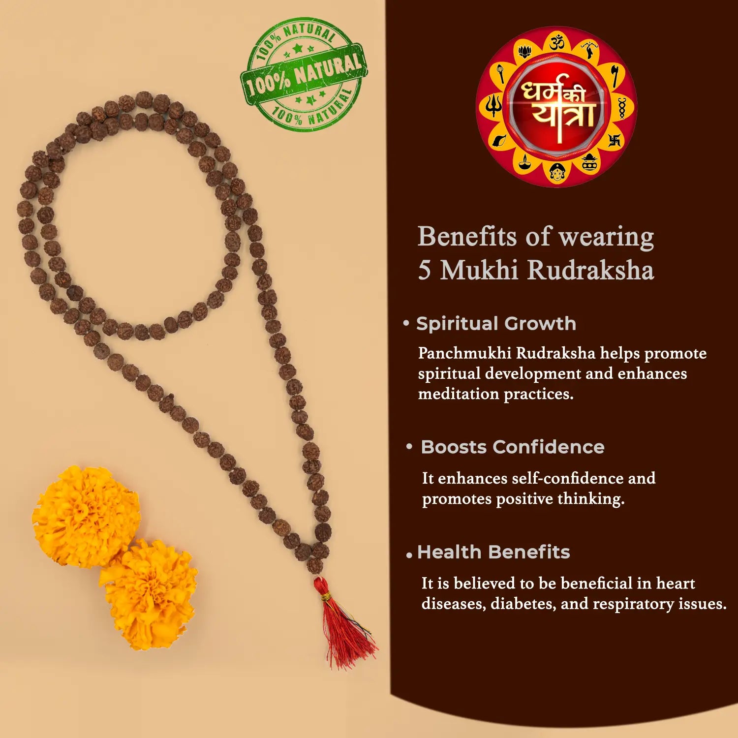 Natural Original 5 Panch Mukhi Rudraksha Mala