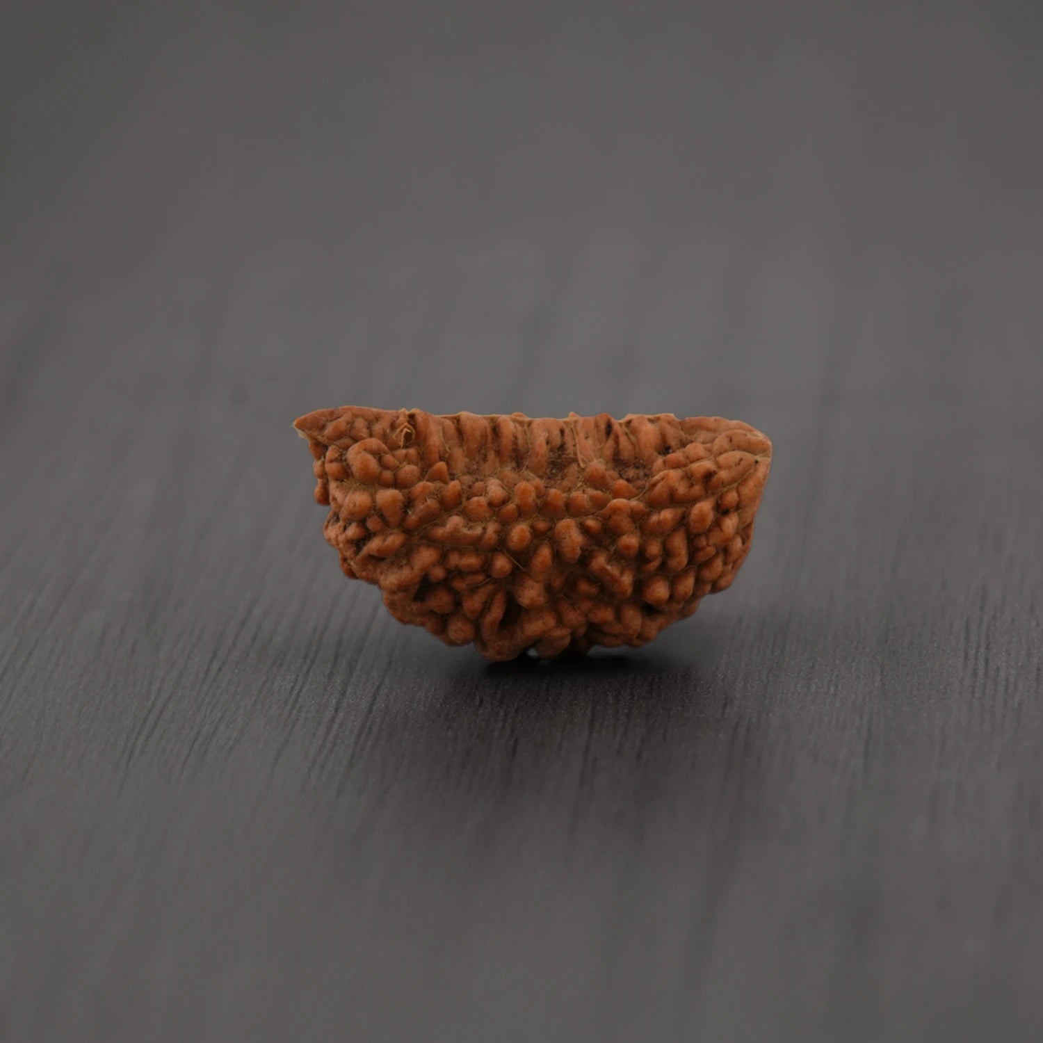 Original 1 Mukhi Rudraksha |  Lab Certificate